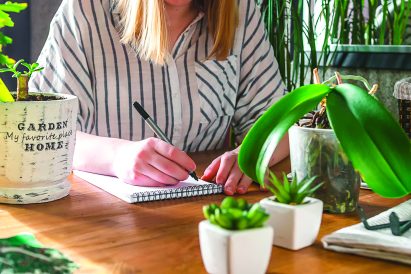 article image - garden